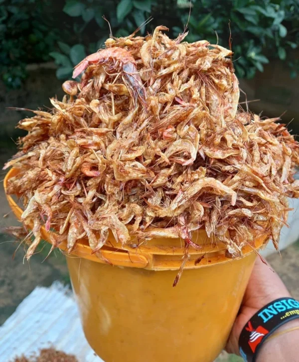 Dried Crayfish